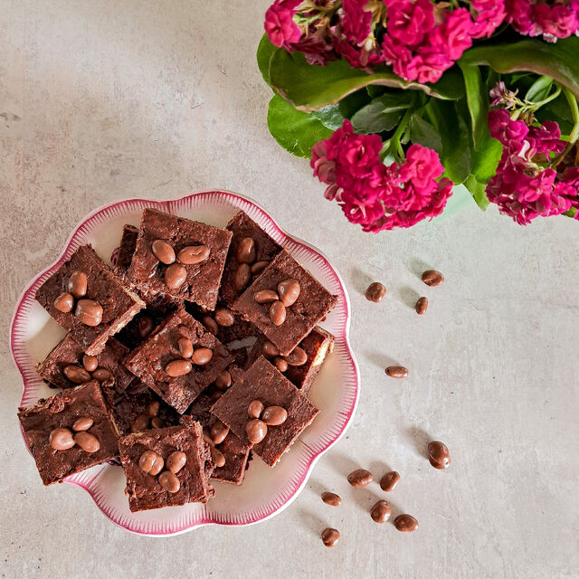 Chocolate Raisin Squares